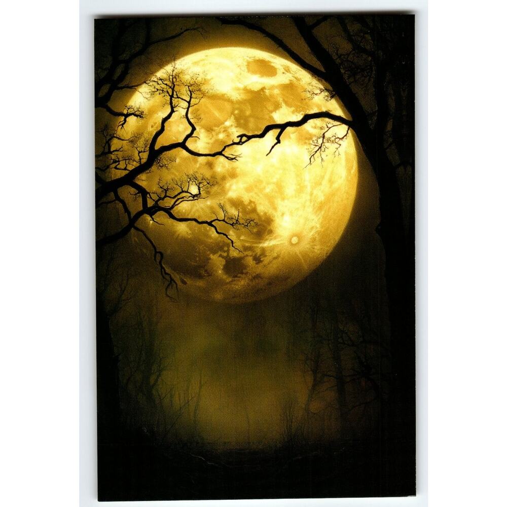 Photochrome Postcard Full Moon with Bare Tree Silhouettes 5.5x4 in